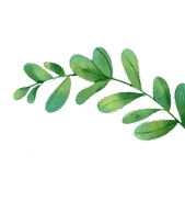 Decorative leaf